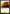 Plains (300) [Commander 2011] - Magic: The Gathering - Card Brawlers | Quebec | Canada |