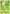 Snivy (BW01) (Jumbo Card) [First Partner Pack] - Pokémon - Card Brawlers | Quebec | Canada |