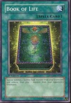 Book of Life [SDZW-EN023] Common - Yu-Gi-Oh! - Card Brawlers | Quebec | Canada |