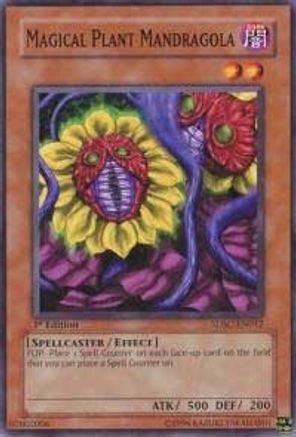 Magical Plant Mandragola [SDSC-EN012] Common - Yu-Gi-Oh! - Card Brawlers | Quebec | Canada |