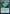 Vineglimmer Snarl [Strixhaven: School of Mages Prerelease Promos] - Magic: The Gathering - Card Brawlers | Quebec | Canada |