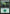Forest (278) [Core Set 2020] - Magic: The Gathering - Card Brawlers | Quebec | Canada |