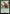 Tato Farmer [Fallout] - Magic: The Gathering - Card Brawlers | Quebec | Canada |