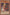Ancient Crimson Ape [ANPR-EN038] Common - Yu-Gi-Oh! - Card Brawlers | Quebec | Canada |