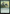 Overwhelm [Foundations Jumpstart] - Magic: The Gathering - Card Brawlers | Quebec | Canada |