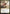 Angelic Captain [Battle for Zendikar Prerelease Promos] - Magic: The Gathering - Card Brawlers | Quebec | Canada |