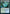 Vineglimmer Snarl (Promo Pack) [Strixhaven: School of Mages Promos] - Magic: The Gathering - Card Brawlers | Quebec | Canada |