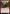 Torch Courier [Jumpstart 2022] - Magic: The Gathering - Card Brawlers | Quebec | Canada |