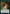 Cat // Angel Double-Sided Token [Streets of New Capenna Tokens] - Magic: The Gathering - Card Brawlers | Quebec | Canada |