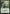 Glade Watcher [Mystery Booster] - Magic: The Gathering - Card Brawlers | Quebec | Canada |