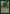 Rhox [Starter 2000] - Magic: The Gathering - Card Brawlers | Quebec | Canada |