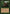 Elven Cache [Visions] - Magic: The Gathering - Card Brawlers | Quebec | Canada |