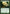 Consign to Dust [Journey into Nyx] - Magic: The Gathering - Card Brawlers | Quebec | Canada |