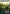Temple Garden (Borderless) [Unfinity] - Magic: The Gathering - Card Brawlers | Quebec | Canada |