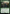 Elvish Archdruid [The Lord of the Rings: Tales of Middle-Earth Commander] - Magic: The Gathering - Card Brawlers | Quebec | Canada |