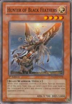 Hunter of Black Feathers [TSHD-EN038] Common - Yu-Gi-Oh! - Card Brawlers | Quebec | Canada |