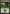 Forest (248) [Magic 2012] - Magic: The Gathering - Card Brawlers | Quebec | Canada |