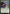 Silhana Ledgewalker [Mystery Booster] - Magic: The Gathering - Card Brawlers | Quebec | Canada |