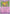 Hypno (083/198) [Scarlet & Violet: Base Set] - Pokémon - Card Brawlers | Quebec | Canada |