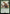 Tato Farmer (Surge Foil) [Fallout] - Magic: The Gathering - Card Brawlers | Quebec | Canada |