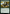 Arboreal Grazer [Ravnica Remastered] - Magic: The Gathering - Card Brawlers | Quebec | Canada |