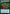 Virulent Sliver (Extended Art) (Step-and-Compleat Foil) [Secret Lair Drop Promos] - Magic: The Gathering - Card Brawlers | Quebec | Canada |