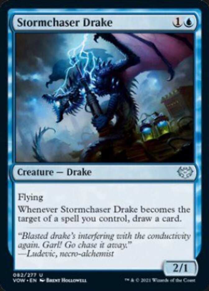 Stormchaser Drake [Innistrad: Crimson Vow] - Magic: The Gathering - Card Brawlers | Quebec | Canada |