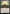 Visions of Glory [The Lord of the Rings: Tales of Middle-Earth Commander] - Magic: The Gathering - Card Brawlers | Quebec | Canada |