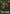 Elf Warrior Token (5/12) [Shadowmoor Tokens] - Magic: The Gathering - Card Brawlers | Quebec | Canada |