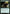 Verdant Sun's Avatar [Ixalan Prerelease Promos] - Magic: The Gathering - Card Brawlers | Quebec | Canada |
