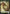 Soldier // Squirrel Double-Sided Token [Double Masters Tokens] - Magic: The Gathering - Card Brawlers | Quebec | Canada |