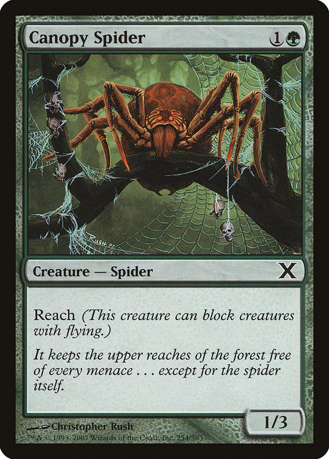 Canopy Spider [Tenth Edition] - Magic: The Gathering - Card Brawlers | Quebec | Canada |