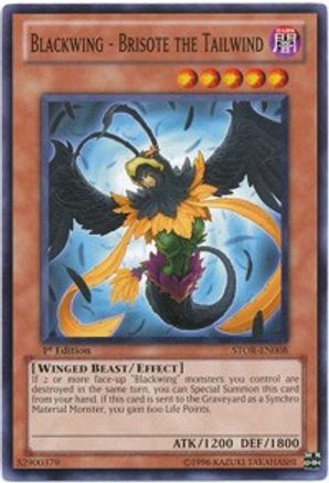 Blackwing - Brisote the Tailwind [STOR-EN008] Common - Yu-Gi-Oh! - Card Brawlers | Quebec | Canada |