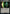 Biotransference [Warhammer 40,000] - Magic: The Gathering - Card Brawlers | Quebec | Canada |