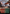 Commercial District (Borderless) [Murders at Karlov Manor] - Magic: The Gathering - Card Brawlers | Quebec | Canada |