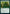 Abundant Growth [Dungeons & Dragons: Adventures in the Forgotten Realms Commander] - Magic: The Gathering - Card Brawlers | Quebec | Canada |