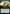 Ancient Cornucopia (Extended Art) [Outlaws of Thunder Junction: The Big Score] - Magic: The Gathering - Card Brawlers | Quebec | Canada |