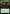 Feasting Hobbit (Extended Art) [The Lord of the Rings: Tales of Middle-Earth Commander] - Magic: The Gathering - Card Brawlers | Quebec | Canada |