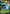 Venusaur V (001/073) [Sword & Shield: Champion's Path] - Pokémon - Card Brawlers | Quebec | Canada |