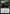 Beledros Witherbloom (Promo Pack) [Strixhaven: School of Mages Promos] - Magic: The Gathering - Card Brawlers | Quebec | Canada |
