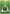 Grass Energy (104/109) [EX: Ruby & Sapphire] - Pokémon - Card Brawlers | Quebec | Canada |