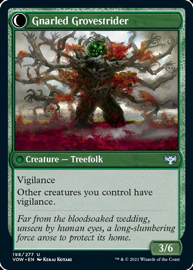 Dormant Grove // Gnarled Grovestrider [Innistrad: Crimson Vow] - Magic: The Gathering - Card Brawlers | Quebec | Canada |