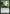 Explosive Vegetation [Commander 2011] - Magic: The Gathering - Card Brawlers | Quebec | Canada |
