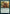 Elderleaf Mentor [Jumpstart 2022] - Magic: The Gathering - Card Brawlers | Quebec | Canada |