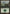 Forest (246) [Rise of the Eldrazi] - Magic: The Gathering - Card Brawlers | Quebec | Canada |