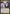 Countersquall [Duel Decks: Ajani vs. Nicol Bolas] - Magic: The Gathering - Card Brawlers | Quebec | Canada |