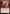 Rampaging Classmate [Marvel's Spider-Man: Eternal-Legal] - Magic: The Gathering - Card Brawlers | Quebec | Canada |