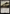 Roadside Reliquary (Surge Foil) [Fallout] - Magic: The Gathering - Card Brawlers | Quebec | Canada |