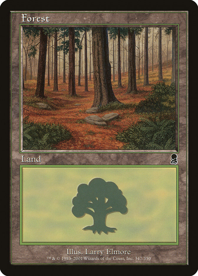 Forest (347) [Odyssey] - Magic: The Gathering - Card Brawlers | Quebec | Canada |