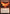 Akoum Firebird [Battle for Zendikar] - Magic: The Gathering - Card Brawlers | Quebec | Canada |